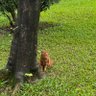 Profilbild von 帽子不是猫