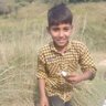 shah baba's profile picture