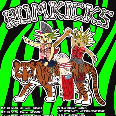 Rumkicks 럼킥스 (punk) 🇰🇷's profile picture