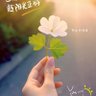 维密 profil fotoğrafı