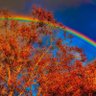 Фото профиля Rainbow Autumn