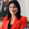 Saadet Özkan 的头像