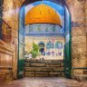Shahmir Shamim🇵🇸 profil fotoğrafı