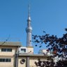 tomomi profil fotoğrafı