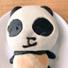🐼 トモト🩵 profil fotoğrafı