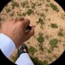 علي الشامي 的头像