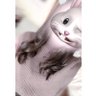 あやね's profile picture