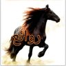 Profilbild von ahmad