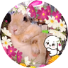 ⛩もこ🌈参拝者でドエルはいヲタ's profile picture