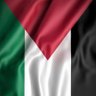 Bunda Ghaza 🇵🇸 profil fotoğrafı