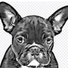 Profilbild von BigPaul99