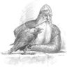 Фото профиля Roäc