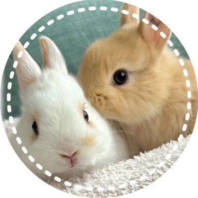 - ̗̀ ꪔ̤ ついんず ꪔ̤ ̖́-'s profile picture