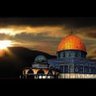 طوفان الأقصى profil fotoğrafı