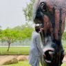 musa_huxler profil fotoğrafı