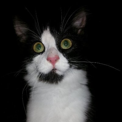 Василий Новиков's profile picture