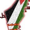 غزاوية's profile picture