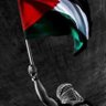 Ahmed Mahmoud 的头像