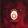 Gegenpress Gala's profile picture