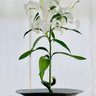 Фото профиля 慎太郎