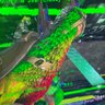 Profilbild von Ark Asoonded