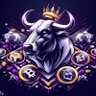 Crypto Craze King's profile picture