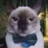 juanitobananas's profile picture