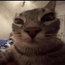 Profilbild von Greg Cheeseburger