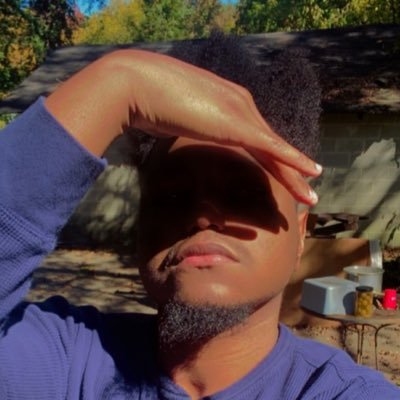 470nightwing_'s profile picture