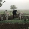 Juancruzfroio profil fotoğrafı