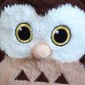 Owlie McOwlieson's profile picture