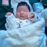 李老师就是狗老师 profil fotoğrafı