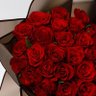 Yaser Ali's profile picture
