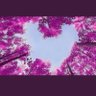 İmr's profile picture