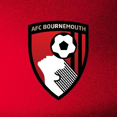 AFCBournemouthW's profile picture