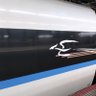 かず's profile picture