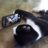 beep* profil fotoğrafı