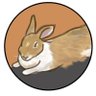 Profilbild von わぎぃ