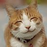 Udo's profile picture
