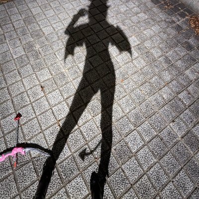 どんぐり's profile picture