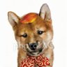 Profilbild von シンドウ