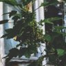 Фото профиля ib wesh BANDIT