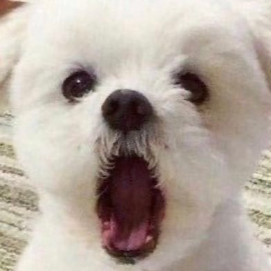 ggu's profile picture