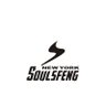 𝗦𝗼𝘂𝗹𝘀𝗳𝗲𝗻𝗴 𝗡𝗲𝘄 𝗬𝗼𝗿𝗸's profile picture