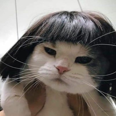 nikki's profile picture