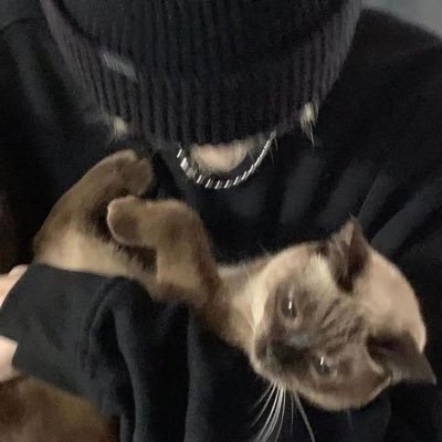 小泽（原味测评）'s profile picture