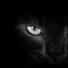 Antonio Molina Rodriguez's profile picture