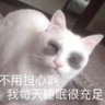 Ana6666520 的头像
