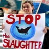 Фото профиля (((The Taiji Reporter)))🐬🇺🇦