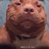 urmom2425's profile picture